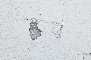 外壁のひび割れの様子