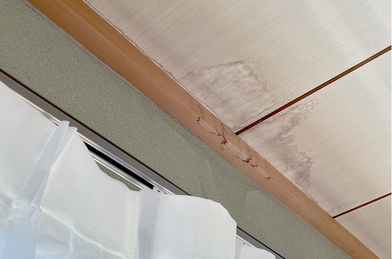 雨漏りによる天井のシミ