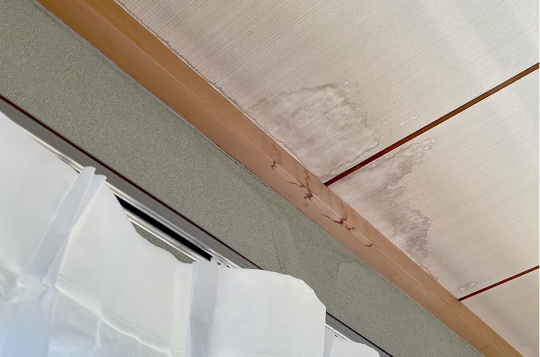 雨漏りによる天井のシミ